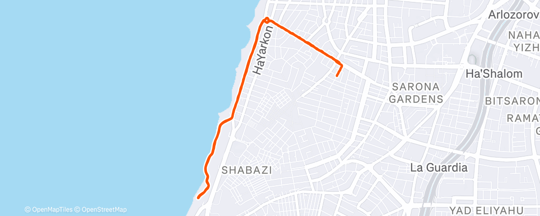 Map of the activity, Evening Run