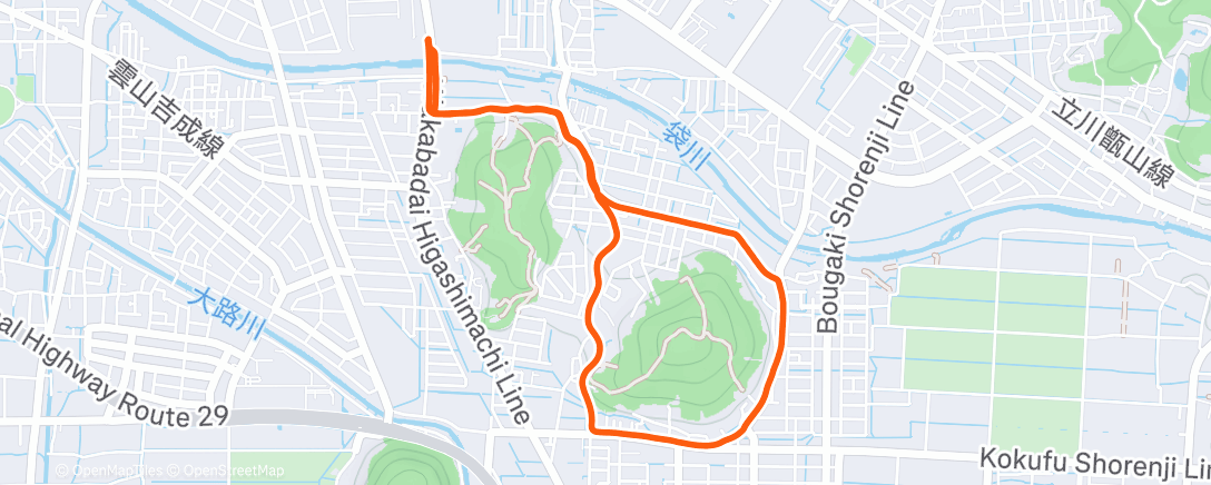 Map of the activity, 夜のランニング