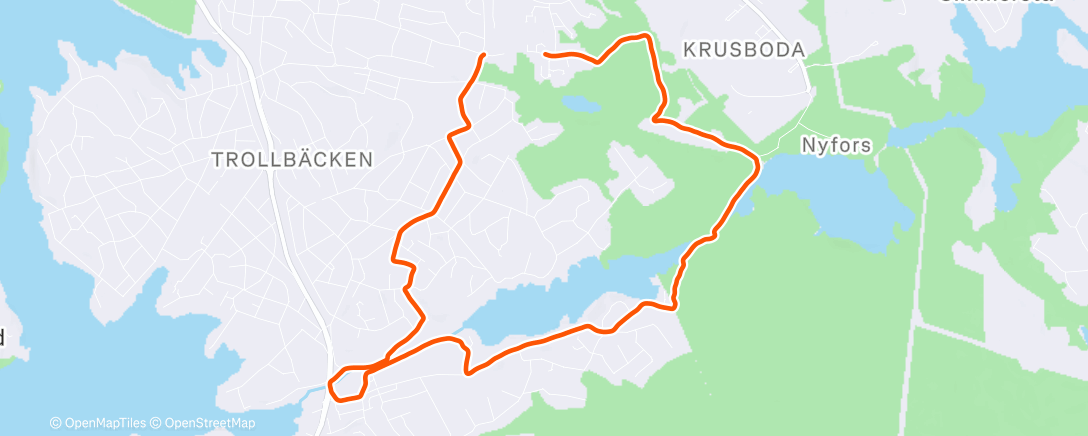 Map of the activity, Morning Run