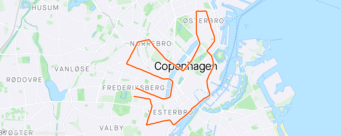 Map of the activity, Copenhagen Half Marathon