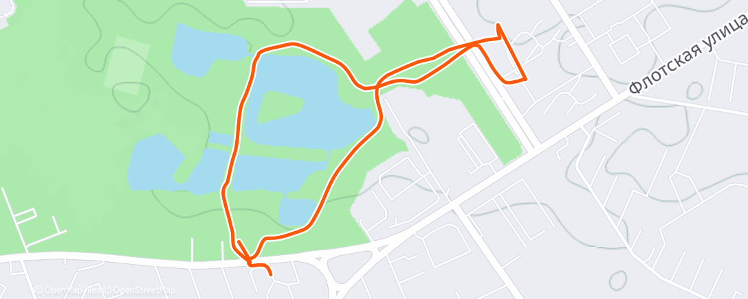 Карта физической активности (Night Walk)