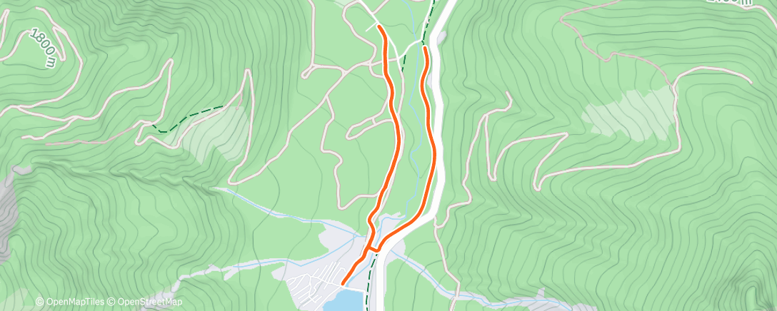 Карта физической активности (Morning Nordic Ski (with Polina))