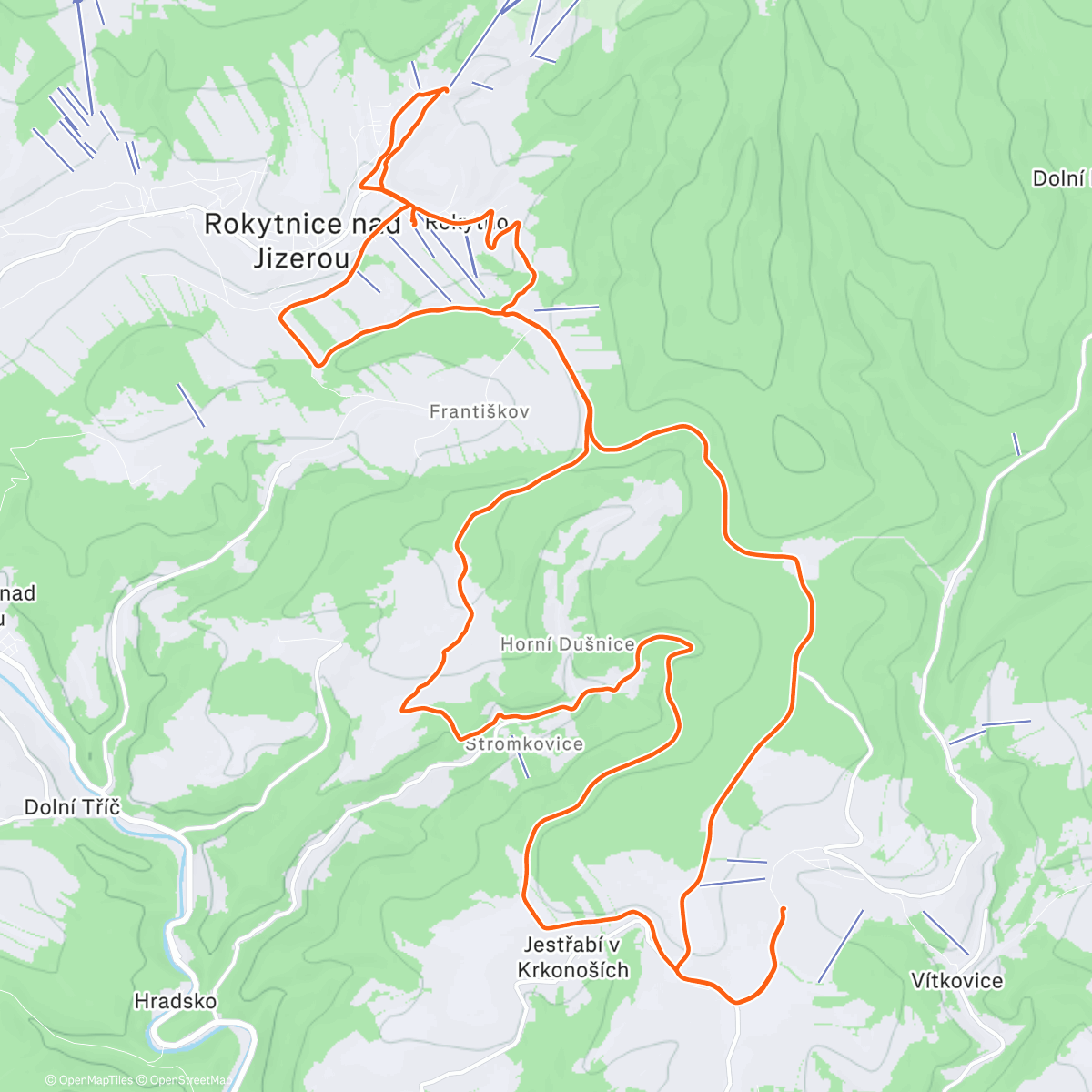 Карта физической активности (Bonus 2025 #2)