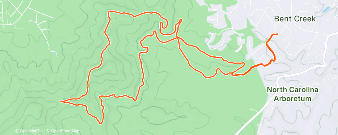 Карта физической активности (Morning Trail Run)