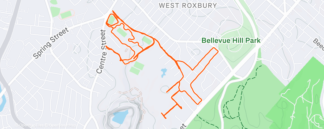 Map of the activity, Morning Run