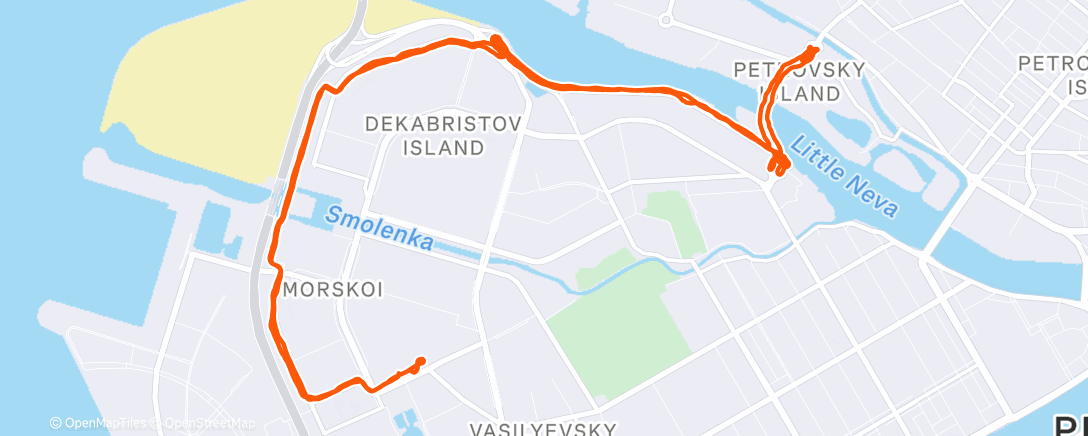 Карта физической активности (Дневной забег)