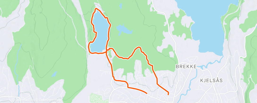 Map of the activity, Evening Run with IneeeePineeee 🎄