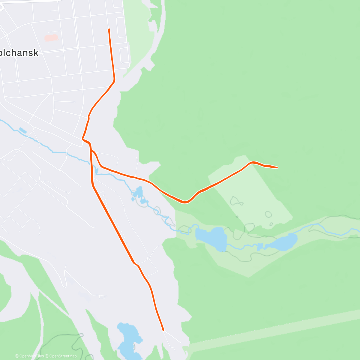 Карта физической активности (В деревне -30 😍)