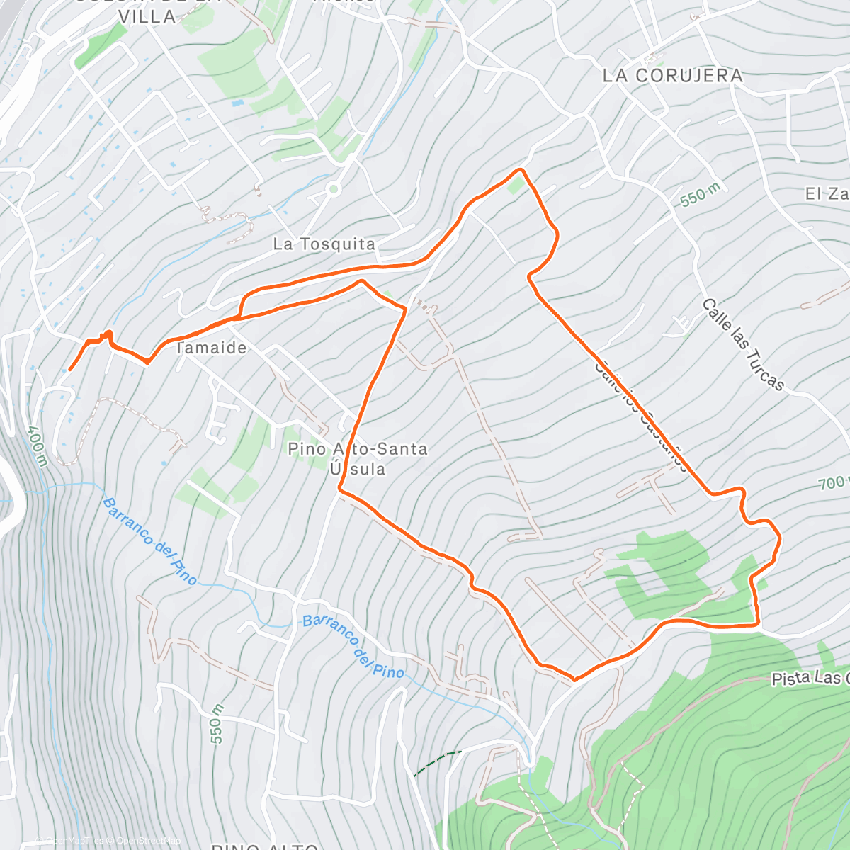 Карта физической активности (Evening Trail Run)