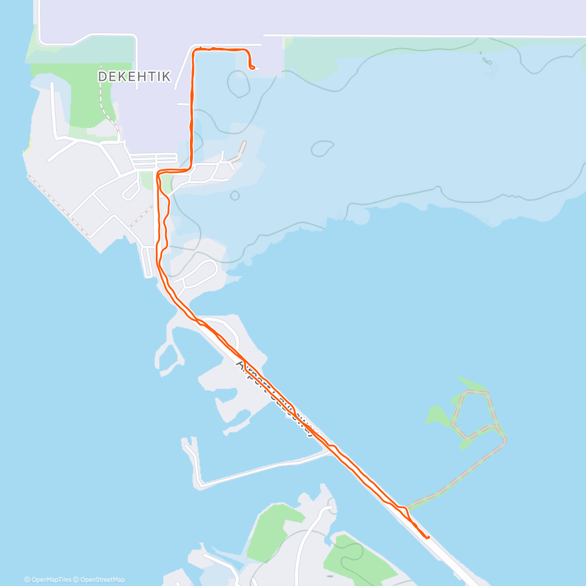 Карта физической активности (Causeway)