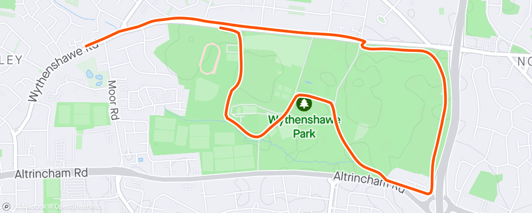 Map of the activity, Evening Run ✊