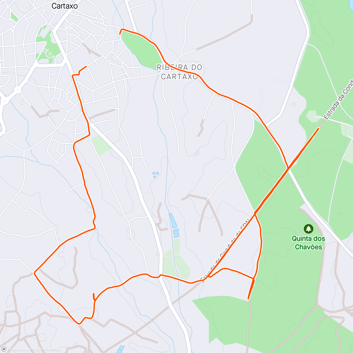 Map of the activity, 2024#61 - Trail Run
