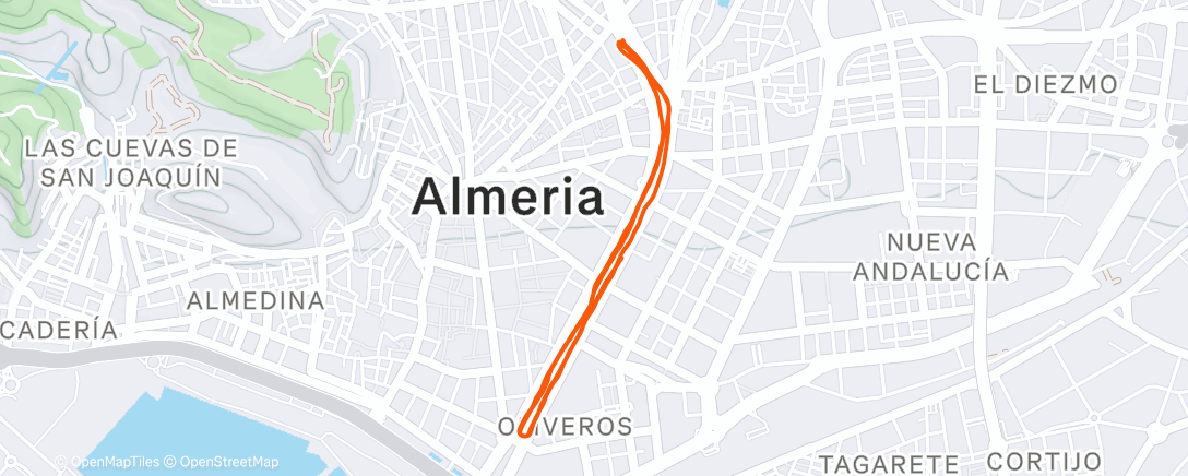 Map of the activity, San Silvestre 2025 🎉🎉