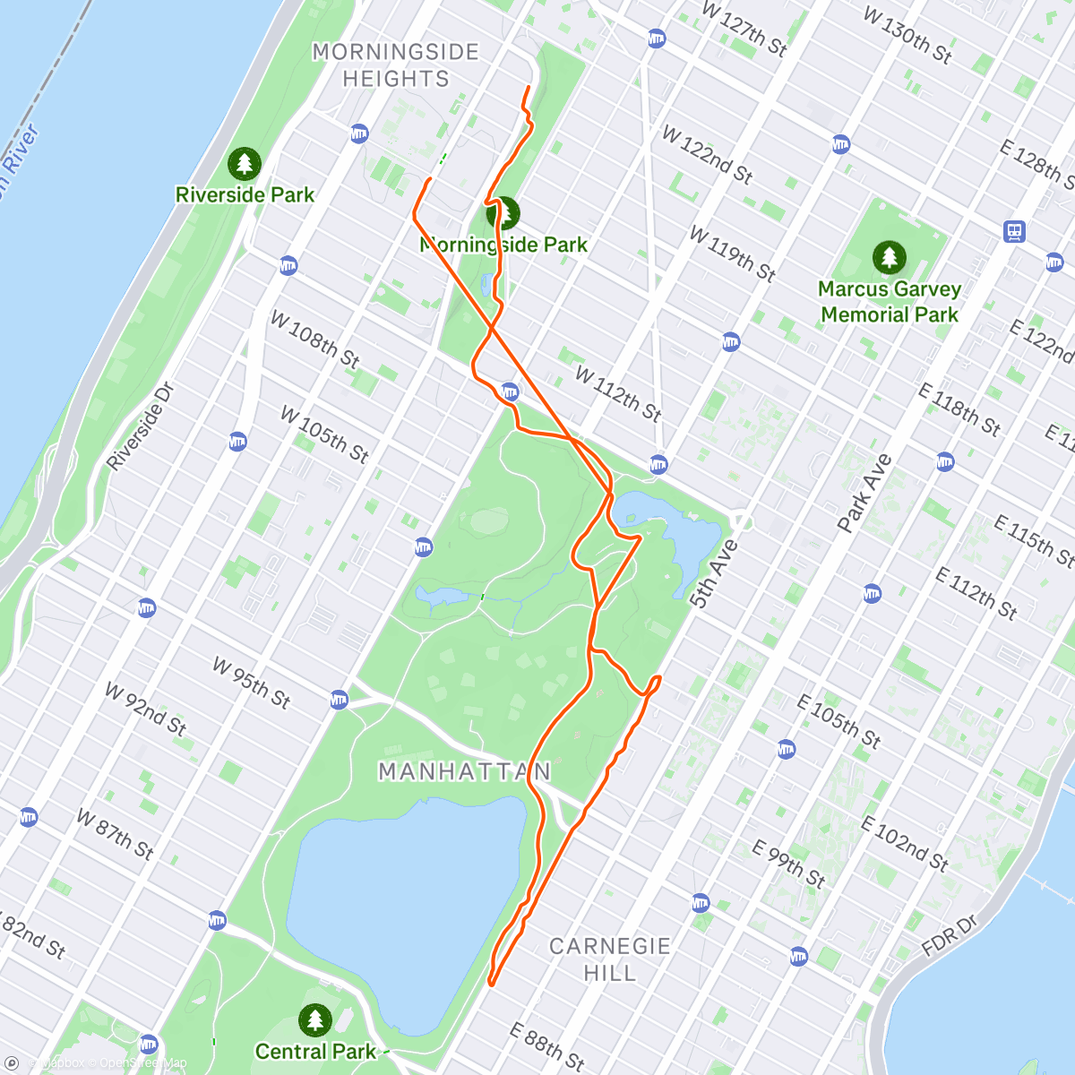 Map of the activity, Museum & park run