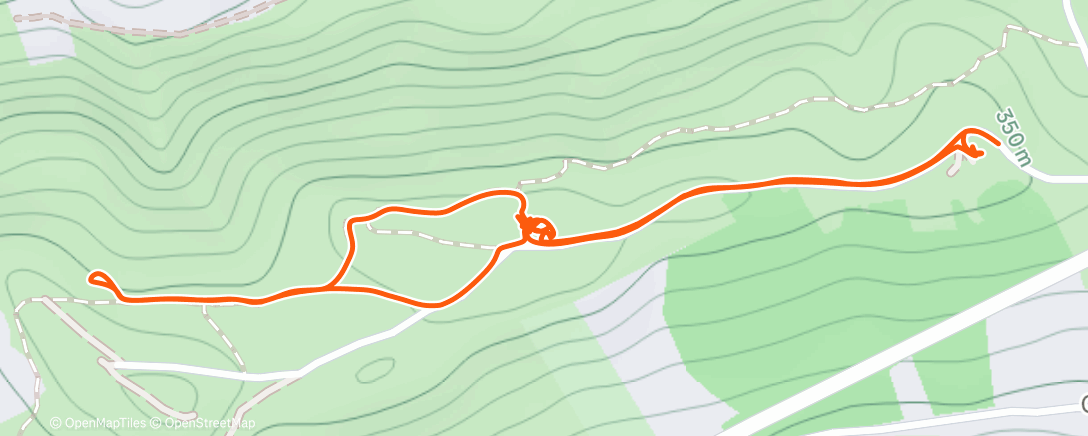Map of the activity, Afternoon Walk