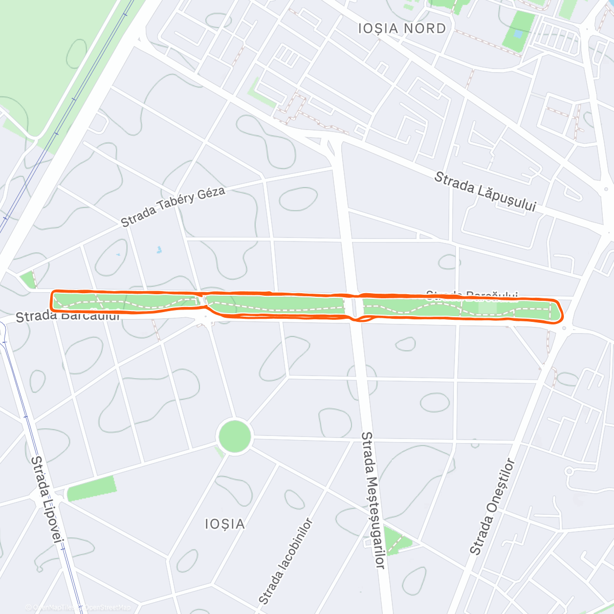 Peta aktivitas, C300