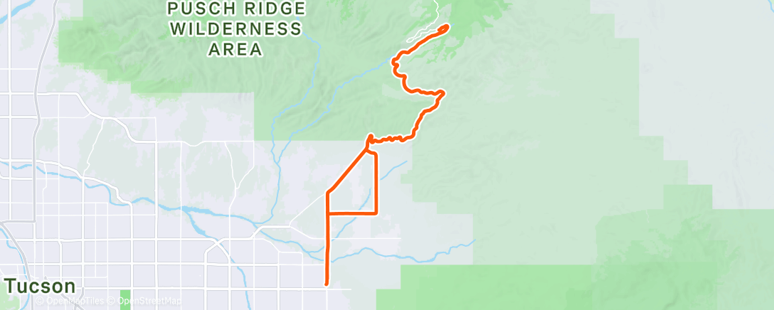 Карта физической активности (Morning Ride)