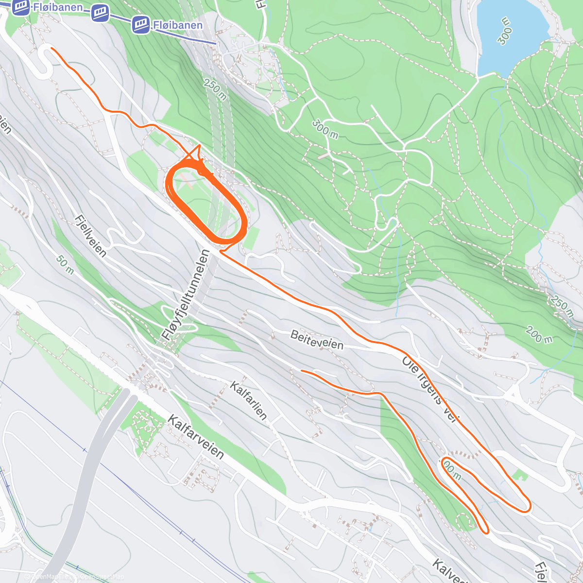 Map of the activity, 4x4k(DNF )