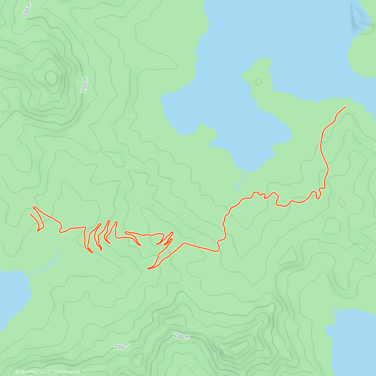 Mapa de la actividad (4x 2000m controlled)