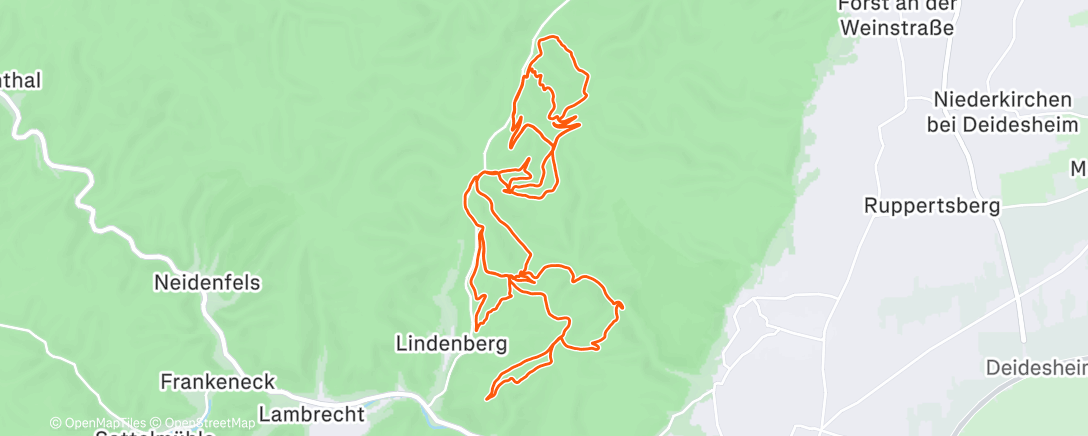 Map of the activity, Mountainbike-Fahrt am Morgen