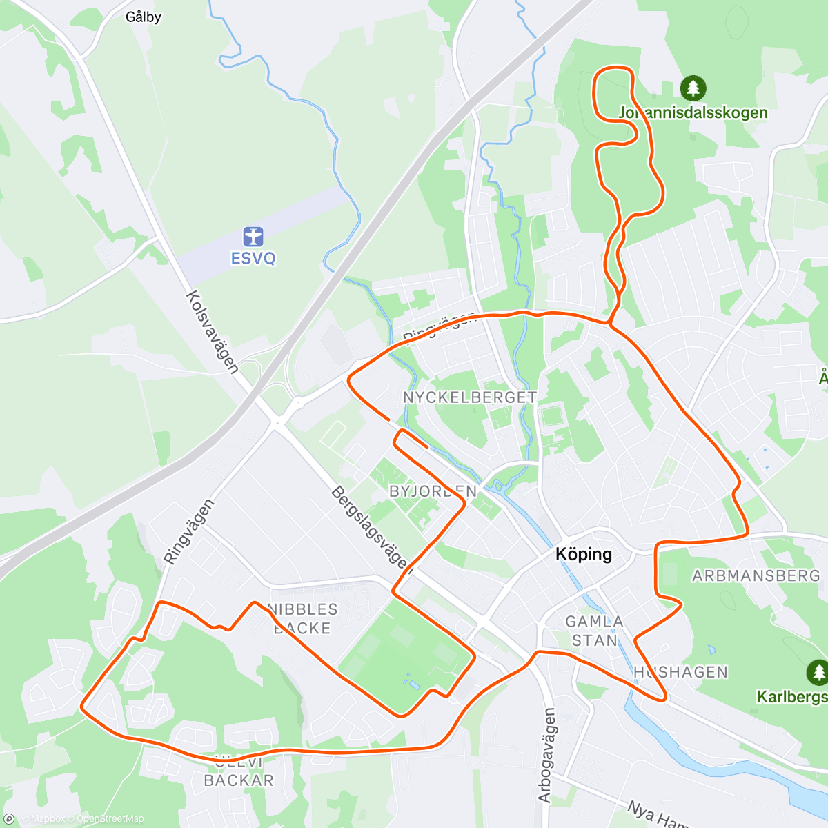 Карта физической активности (Lunch Run)