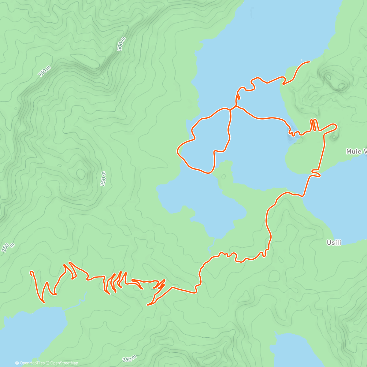 Map of the activity, Zwift - ZG25 Queen in Watopia
