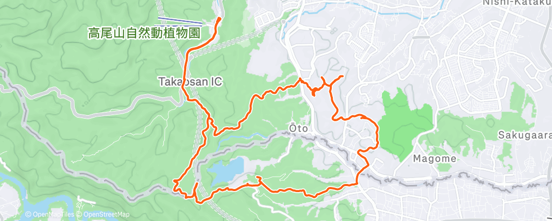 Map of the activity, 朝のトレイルランニング