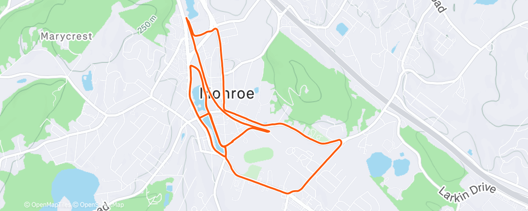 Map of the activity, Christmas Run w Phoebe (well behind her)