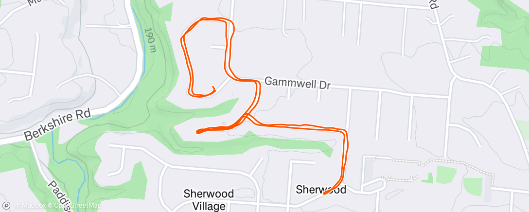 Map of the activity, Afternoon Run