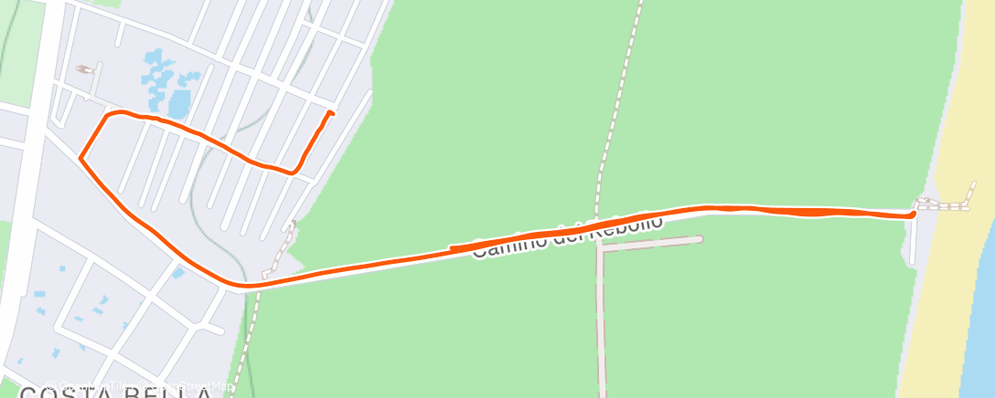 Карта физической активности (cd)