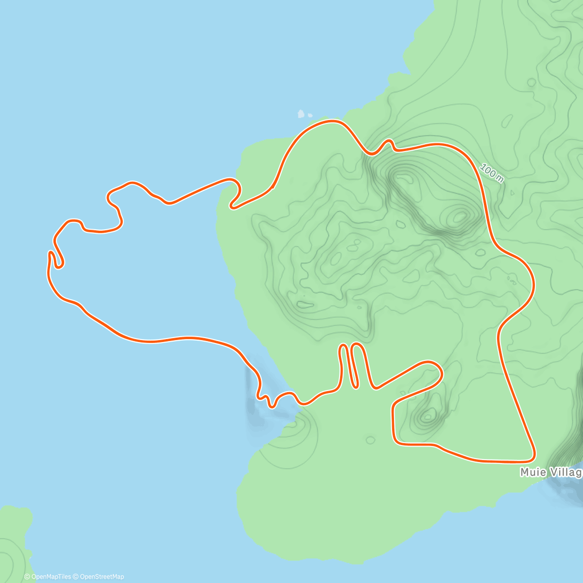 Map of the activity, Zwift - The Gorby on Volcano Flat in Watopia