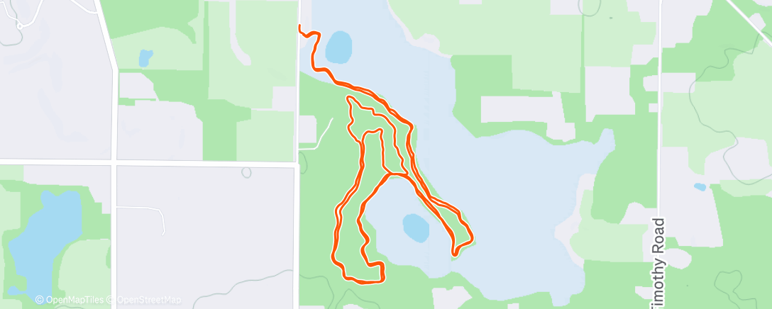 Map of the activity, Squirrel Hunt