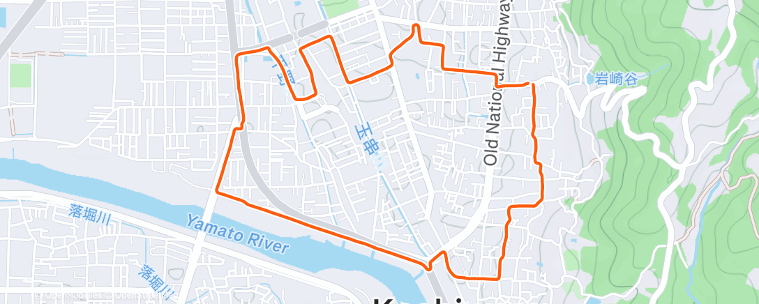 Карта физической активности (Afternoon Run)