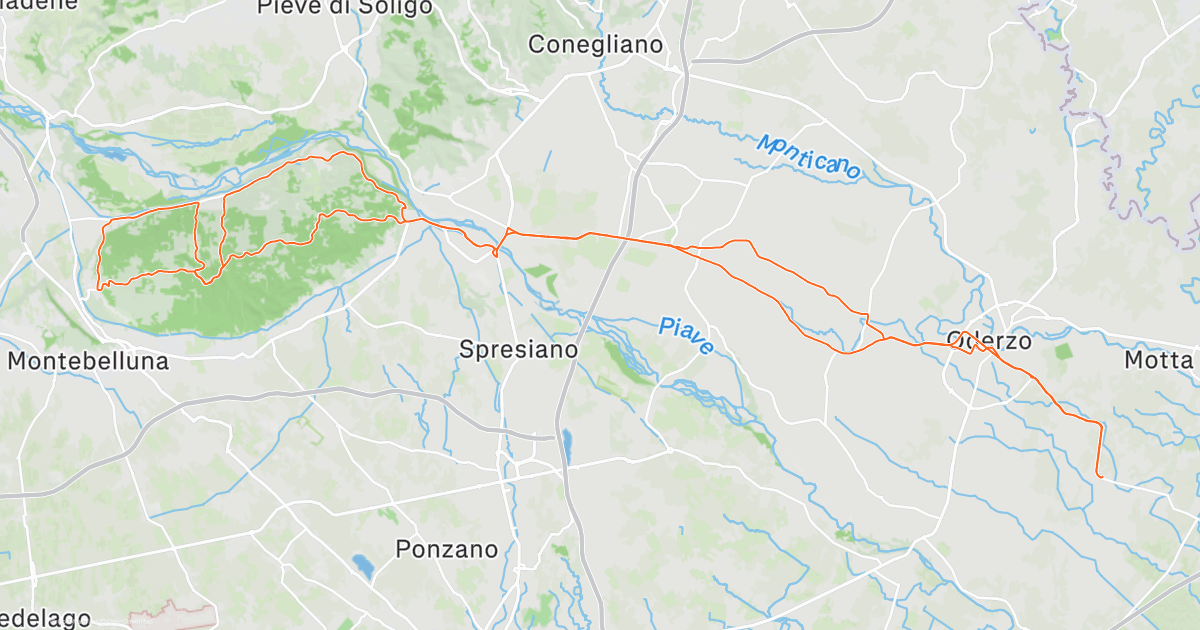 www.strava.com