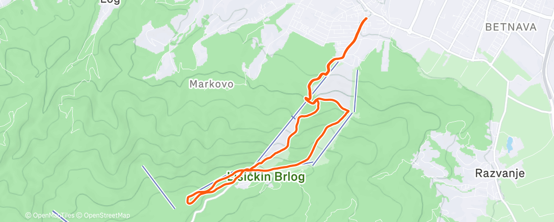 Map of the activity, Morning Trail Run