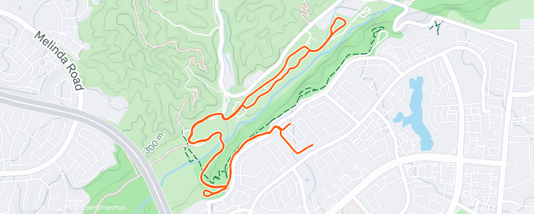 Карта физической активности (Christmas recovery)