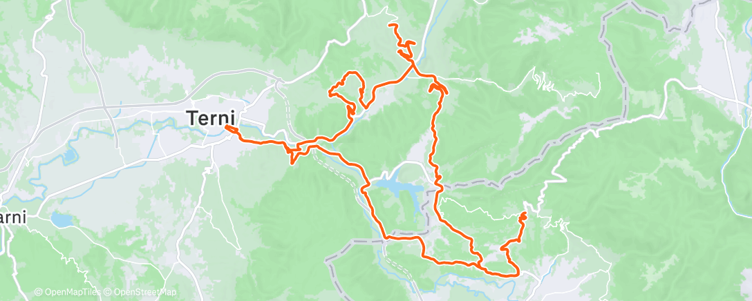 Карта физической активности (Pesantezza🪨)