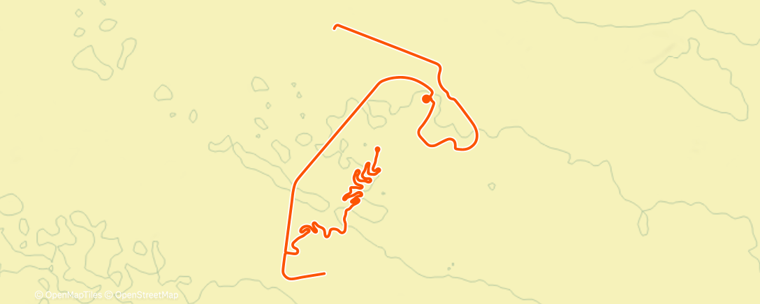 Карта физической активности (Chomik)