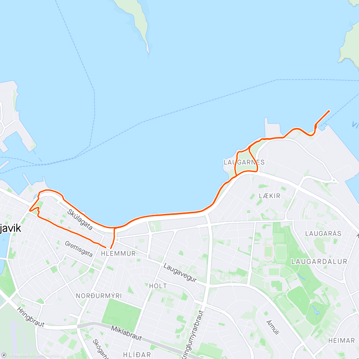 Mapa de la actividad (Run 46min: good morning Reykjavik)