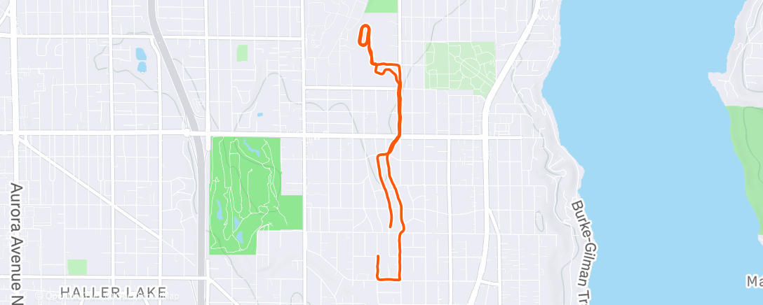 Map of the activity, Merry Christmas! 🎄 Werkout