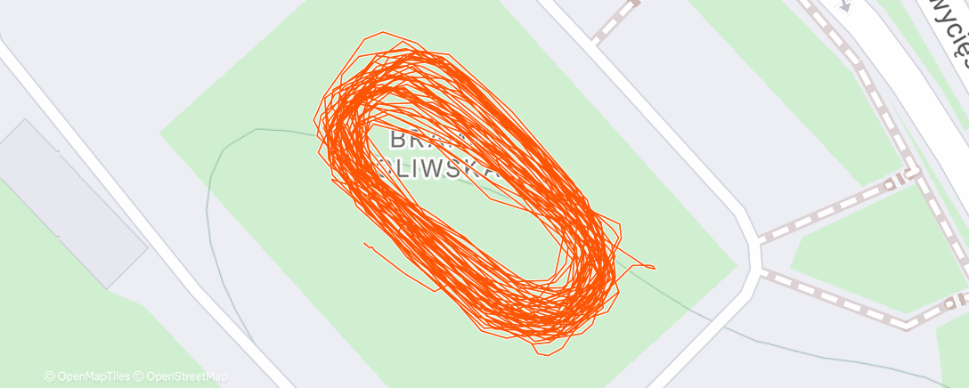 Карта физической активности (Łyżwy z psiapsi)