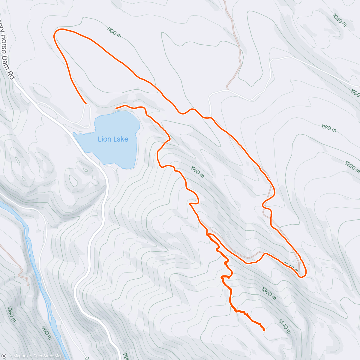 Map of the activity, Hectoring the lion trails.