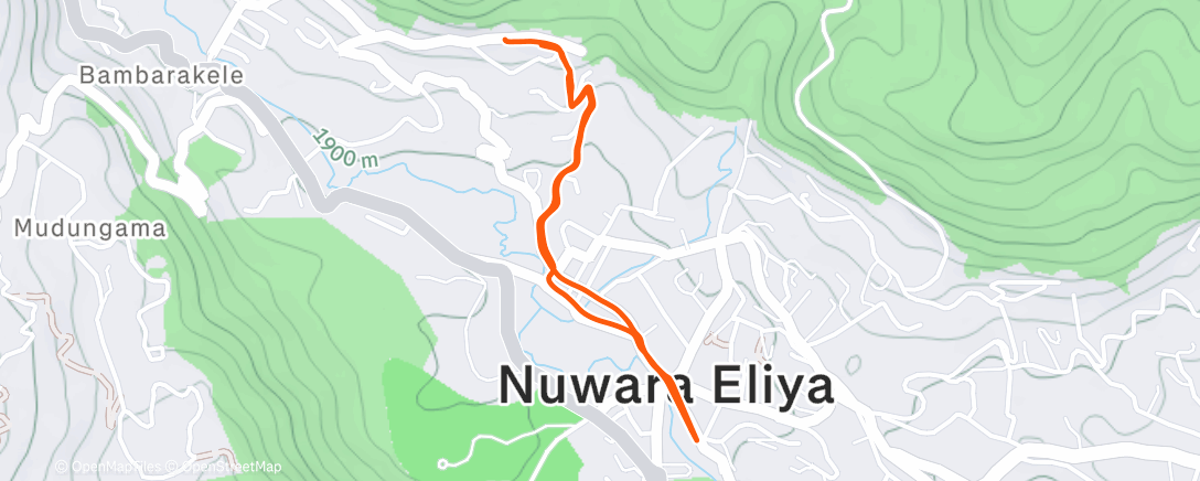 Map of the activity, Marche dans l'après-midi