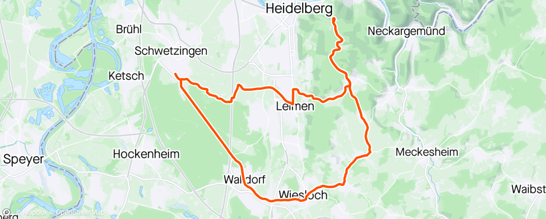 Map of the activity, Königstuhl