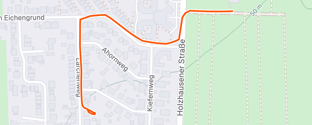 Map of the activity, Afternoon Walk