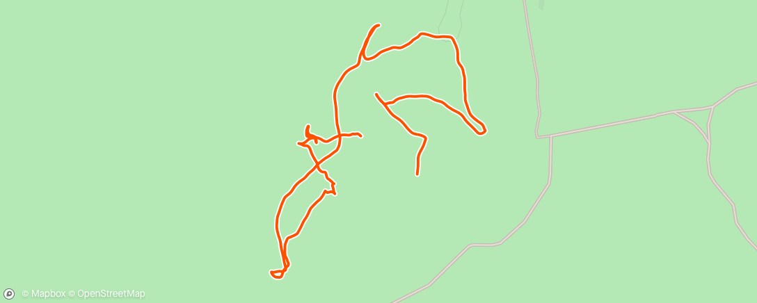 Map of the activity, 10turas🏃🧭🌲