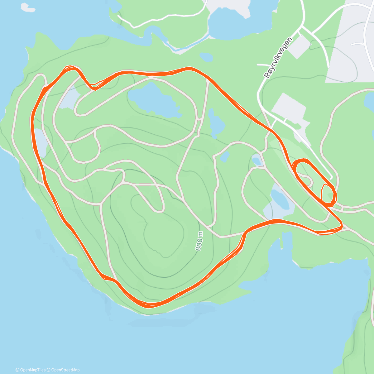 Карта физической активности (Afternoon Nordic Ski)