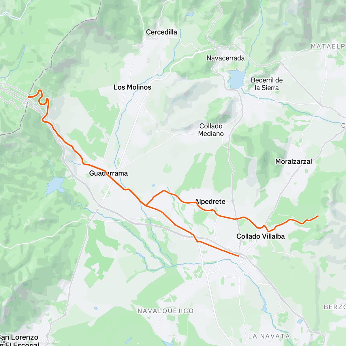 Map of the activity, Leones 🦁