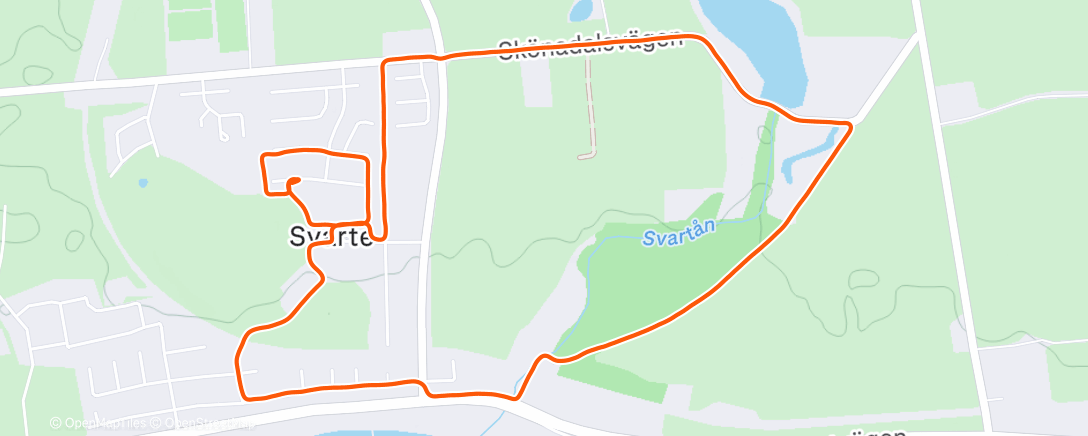 Map of the activity, Afternoon Run