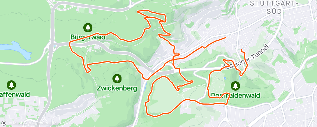 Map of the activity, Morning Trail Run 🧊 ☀️